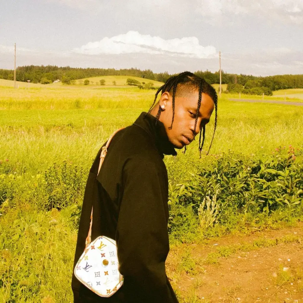 short Travis Scott Braids Hair Style